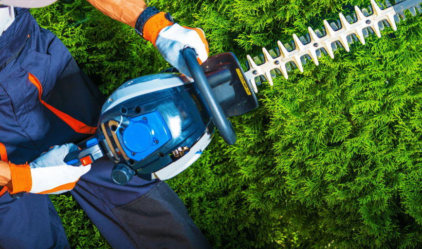 S.E.S Wildfire Protection & Prevention
